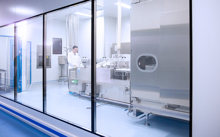 Clean Room Partition